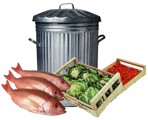 Trash can photo